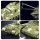 Mould King 20035 M26 Pershing Tank
